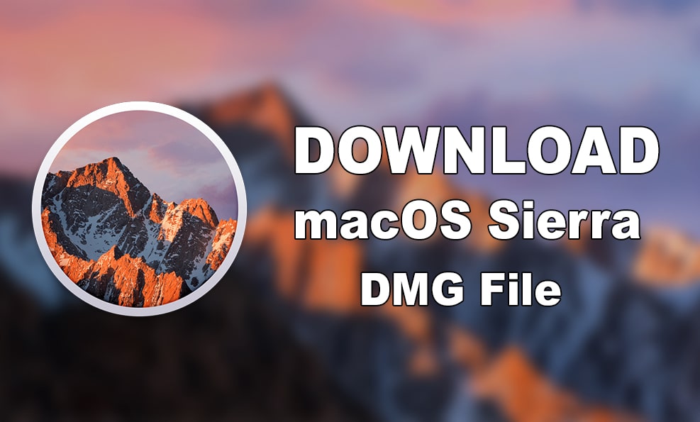 Download mac os high sierra 10.13.6 dmg google drive